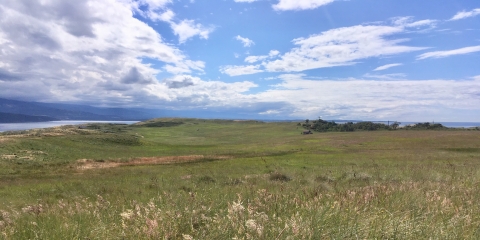 Protection Island Grasslands