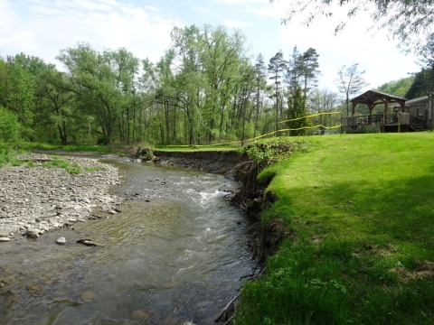 An eroded stream bank backing up to a lush green lawn