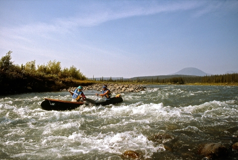 two people in boat paddling