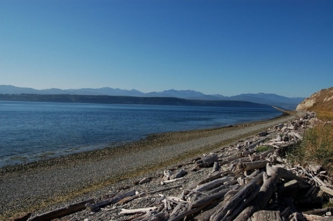 Protection Island Shoreline on a Sunny Clear Day