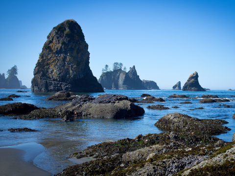 Washington Islands from Shi Shi Beach