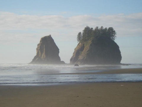 Two of Washington's Coastal Islands in the Mist