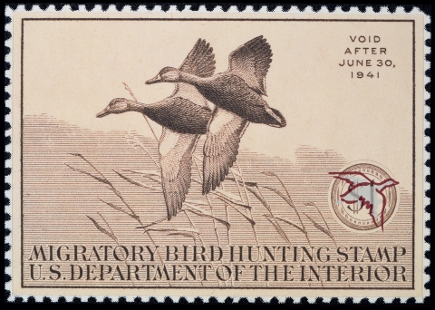 Duck Stamp of Two Black ducks flying