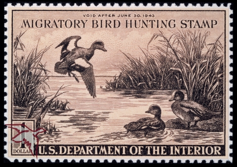 Duck Stamp 1942 1943 FWS.gov