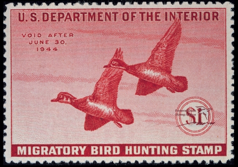 Duck Stamp featuring two flying wood ducks