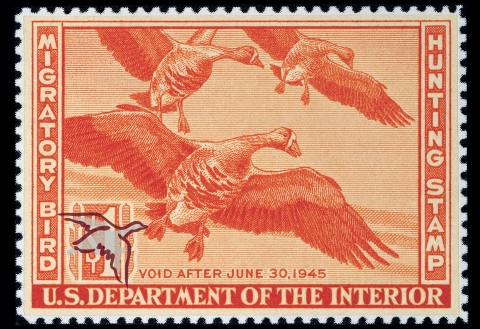 Duck Stamp with three white-fronted geese flying