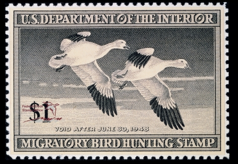 Duck Stamp featuring two flying Snow Geese