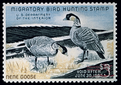 Duck Stamp depicting two Nene geese