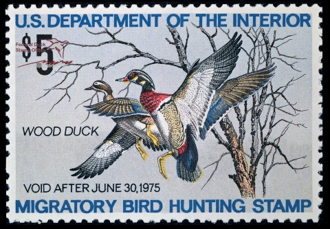 Duck Stamp with Two Wood Ducks flying in front of a tree