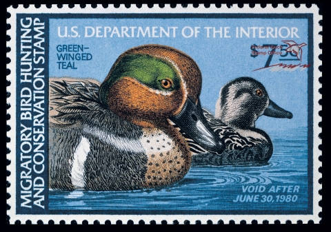 Duck Stamp with a Green-Winged teal