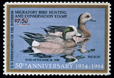 Duck Stamp with two American Wigeons on water