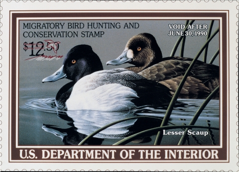 Duck Stamp featuring a pair of lesser scaups on water