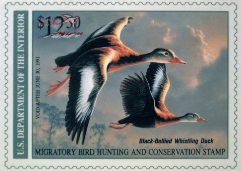 Duck Stamp with a pair of black-bellied whistling ducks