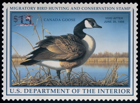 Duck Stamp depicting a Canada Goose