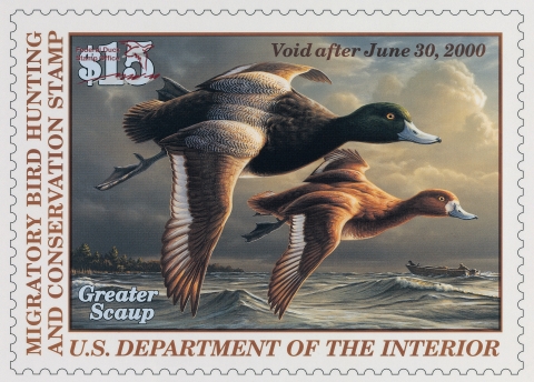 A duck Stamp with a pair of greater scaups flying over the ocean