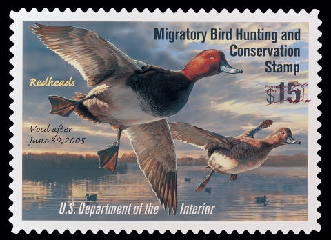 Duck Stamp with a pair of flying redheads