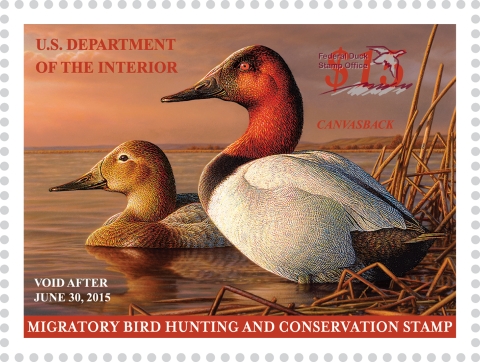 Duck Stamp 2014 2015 FWS.gov