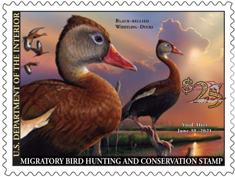 Duck Stamp with two black-bellied whistling ducks standing on a tree as other ducks fly in the background