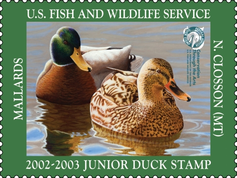 Duck Stamp depicting two mallards