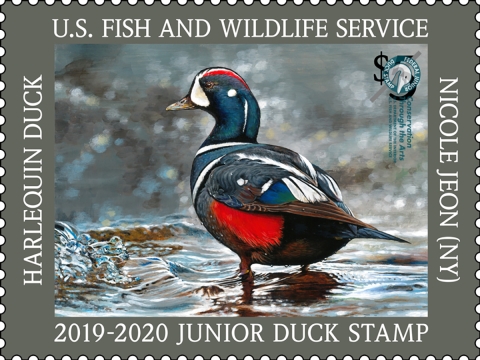 Top 5 Reasons YOU should buy a Duck Stamp U.S. Fish Wildlife