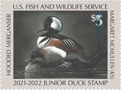 Arkansas Junior Duck Stamp U.S. Fish Wildlife Service