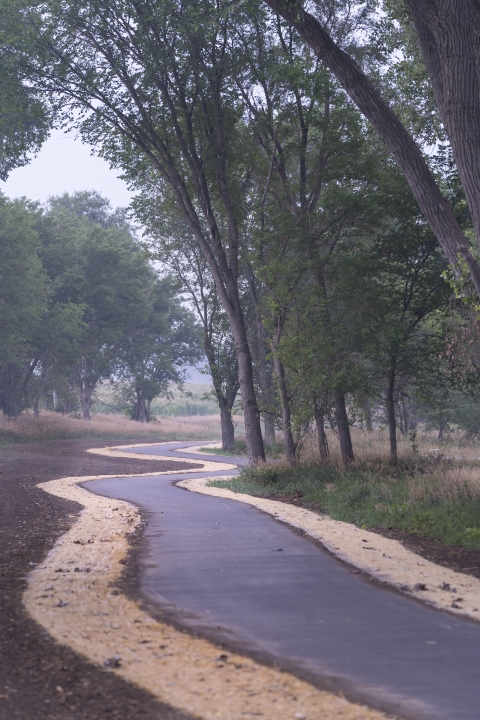 A paved bike path winds through the woods. 