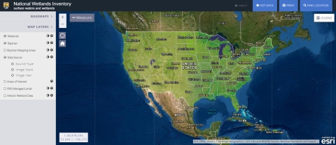 Screen capture of the national wetlands mapper.