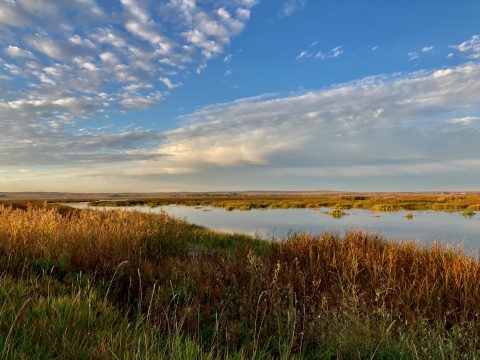 Wetland landscape at Lacreek NWR