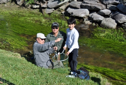 Trout Fishing