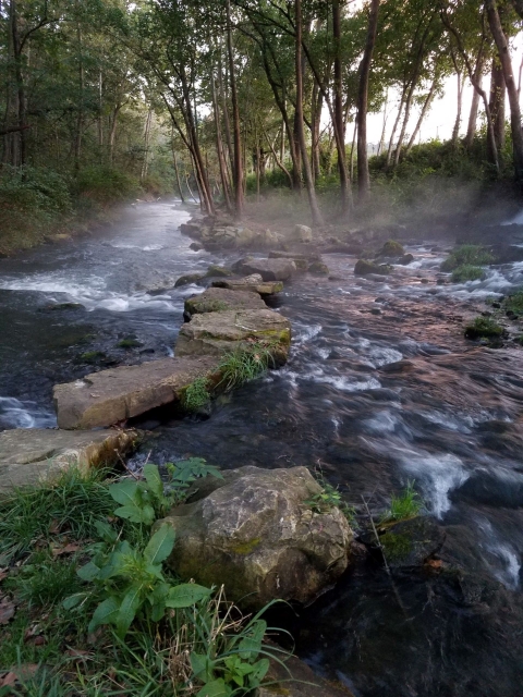 Dry Run Creek - Norfork National Fish Hatchery