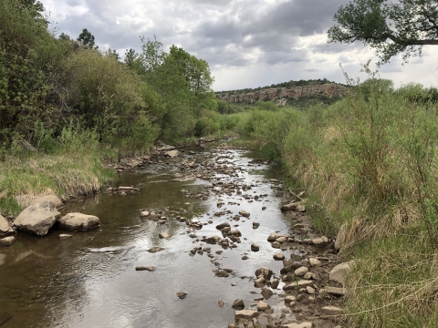 The Mora River. Rocks are in the river and green vegetation is on the sides