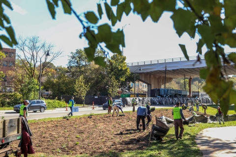 Group of people planting plants in a cleared area beside a road with a bridge running overhead in the distance