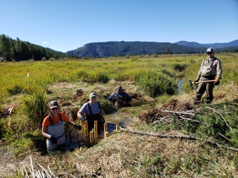 Four people are in the small stream holding tools and stream restoration is underway.