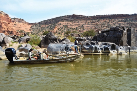 Electrofishing Black Rock for Humpback Chub