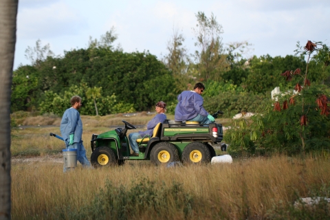 Crazy Ant strike team prepares to spray at Johnston Atoll Refuge. One member is in the drivers seat. One is on the trunk. One is standing in front with a bucket in hand.