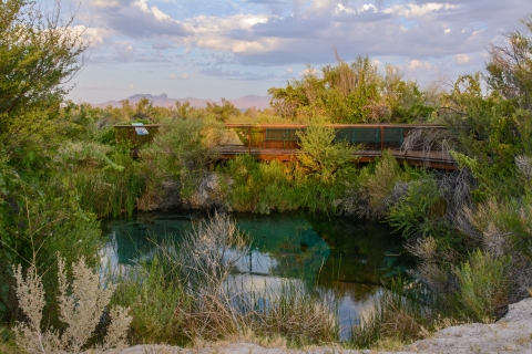 Boardwalk behind a natural spring, cloudy sky and mountains in the background