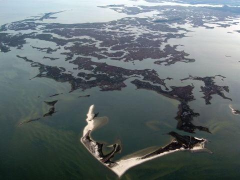 Aerieal view of saltwater (intertidal) wetlands.