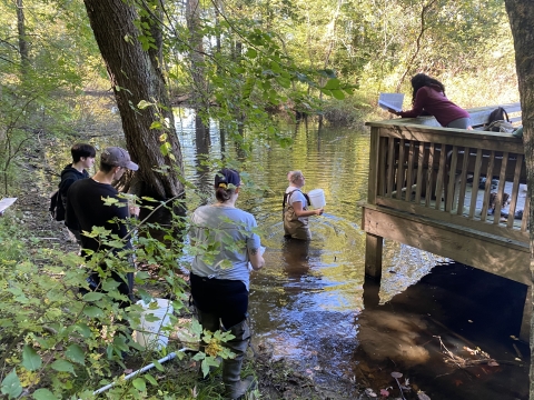 Students doing pond exploration.