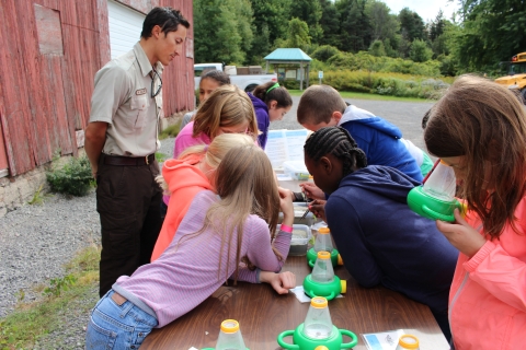 Students viewing aquatic macroinvertebrates