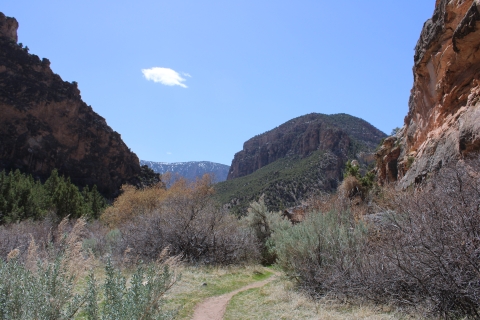 Jones Hole Trail