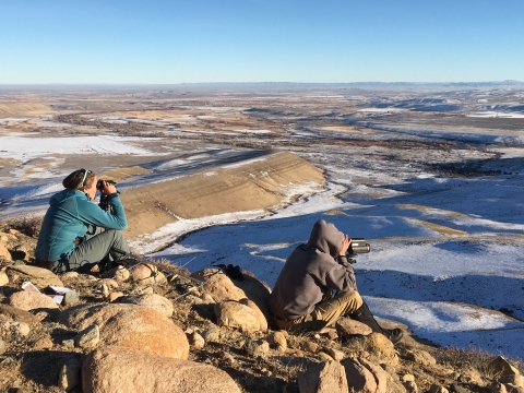 Mule deer surveys on Wind River Reservation