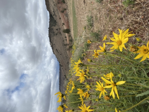 central Oregon