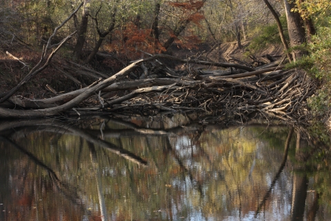 The Clarks River surrounded by trees in fall color.