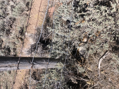 Close up of a fence with mesh on the bottom and barbed wire on top