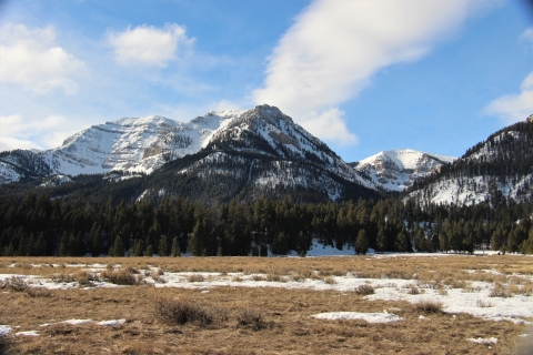 Snow still clings to forested mountains under blue skies as the valley floor begins to melt out