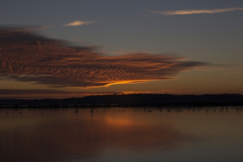 Sunrise over lake 