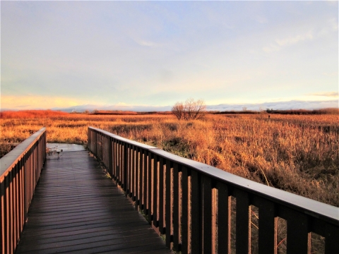 The Litchfield Wetland Management District boardwalk after a storm. 