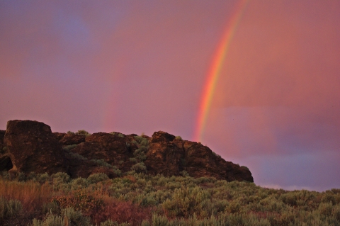 Malheur NWR_ Buena Vista