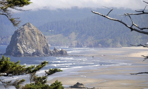 A large single rock outcropping surrounded by small ocean waves coming ashore at low tide