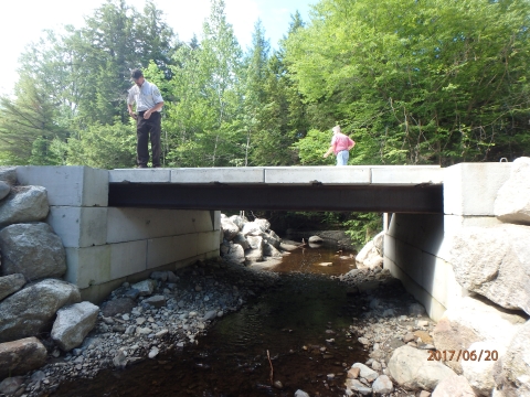 people on bridge over cobble stream